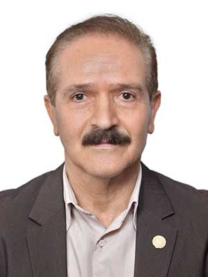 تصویر پروفایل احمد محمد زاده ایناللو - قراردادها و دعاوی عمومی مدنی در تهران