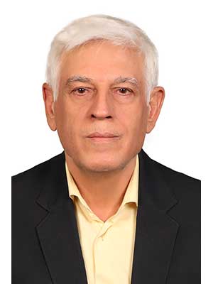 تصویر پروفایل امیر علیخانی - قراردادها و دعاوی عمومی مدنی در تهران
