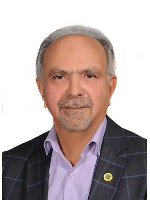 تصویر پروفایل ابراهیم مهدوی نادری - قراردادها و دعاوی عمومی مدنی در تهران