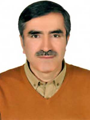 تصویر پروفایل حبیب داغستانی - قراردادها و دعاوی عمومی مدنی در کرج