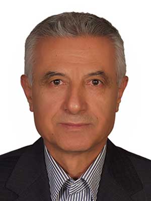 تصویر پروفایل مهدی سلامی - قراردادها و دعاوی عمومی مدنی در تهران