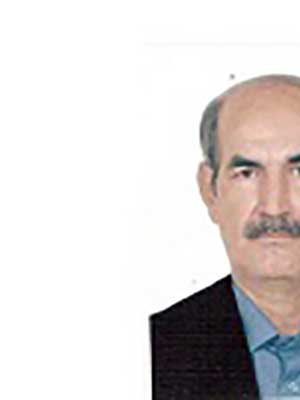 تصویر پروفایل پرویز محمودی - قراردادها و دعاوی عمومی مدنی در بیجار