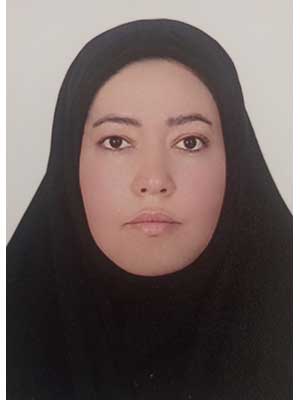 تصویر پروفایل اکرم سادات حسینی - قراردادها و دعاوی عمومی مدنی در نیشابور