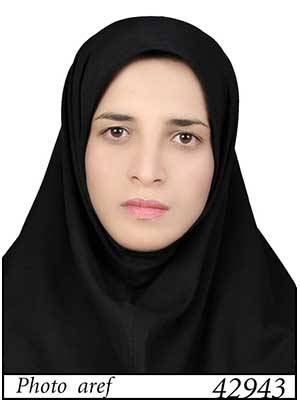 تصویر پروفایل نسیبه صدیق - قراردادها و دعاوی عمومی مدنی در دشتستان