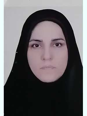تصویر پروفایل وحیده نیکونام طوسی - قراردادها و دعاوی عمومی مدنی در مشهد