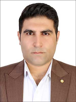 تصویر پروفایل امیر سلامت - قراردادها و دعاوی عمومی مدنی در تهران