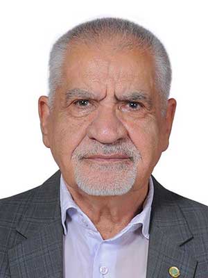 تصویر پروفایل حسین هاشمی حسین آبادی - قراردادها و دعاوی عمومی مدنی در اصفهان