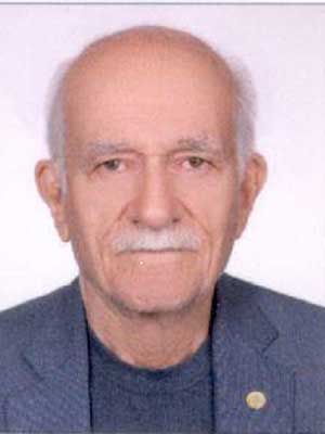 تصویر پروفایل محمد بهمنی - قراردادها و دعاوی عمومی مدنی در دلیجان