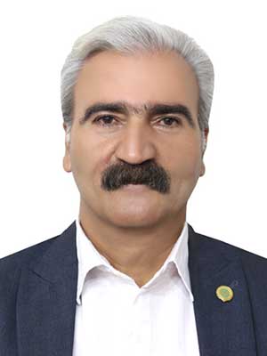 تصویر پروفایل محمد محمودی - قراردادها و دعاوی عمومی مدنی در دزفول