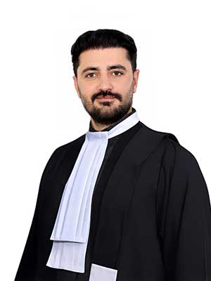 تصویر پروفایل محمد مهدی اسکندری - قراردادها و دعاوی عمومی مدنی در قیدار