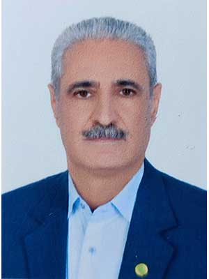 تصویر پروفایل محمدرضا رحیمی حقیقی - قراردادها و دعاوی عمومی مدنی در شیراز