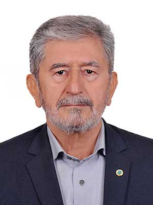 تصویر پروفایل پرویز علی پور - قراردادها و دعاوی عمومی مدنی در رشتخوار