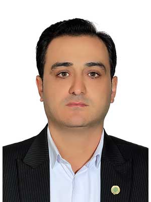 تصویر پروفایل پیمان زارع احمدی - قراردادها و دعاوی عمومی مدنی در تهران