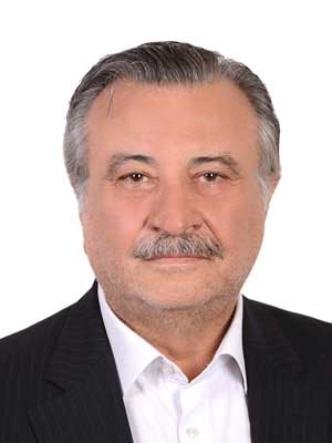 تصویر پروفایل سید محمد وزیری یگانه - قراردادها و دعاوی عمومی مدنی در پردیس