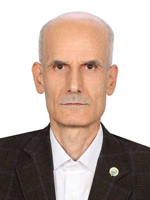 تصویر پروفایل سیدرضا حسینی شیشه گورابی - قراردادها و دعاوی عمومی مدنی در رشتخوار
