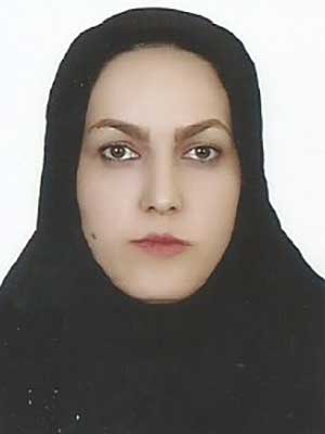تصویر پروفایل آمنه حبیبی داویجانی - قراردادها و دعاوی عمومی مدنی در ملایر