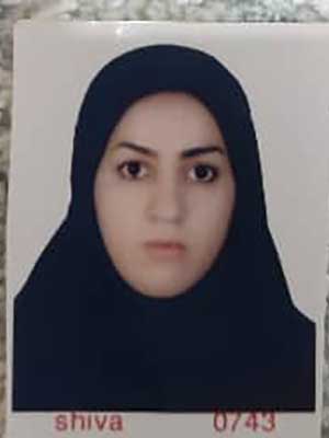 تصویر پروفایل آزاده محمدپور - قراردادها و دعاوی عمومی مدنی در گتاب