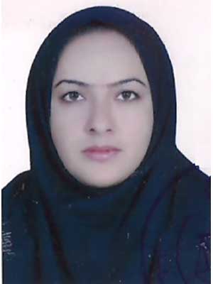 تصویر پروفایل بهجت سلطانی - قراردادها و دعاوی عمومی مدنی در سقز