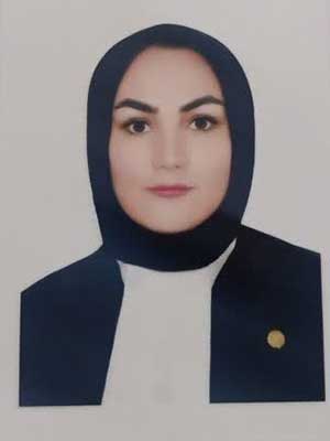 تصویر پروفایل الهه علی محمدی - قراردادها و دعاوی عمومی مدنی در سلفچگان