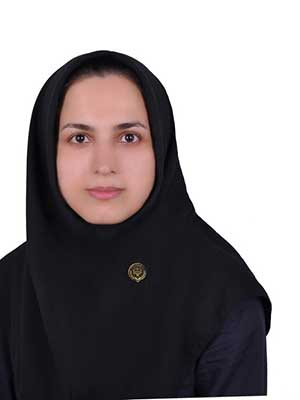 تصویر پروفایل هنگامه نقدی پور سطلسری - قراردادها و دعاوی عمومی مدنی در املش