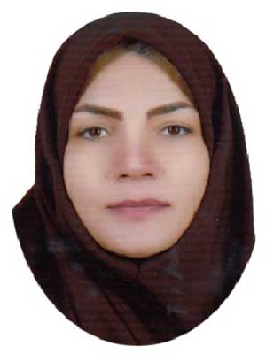 تصویر پروفایل منصوره بگجانی - قراردادها و دعاوی عمومی مدنی در بهارستان