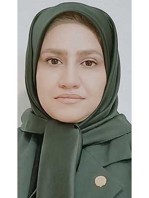 تصویر پروفایل مریم ناظمی اسد پور - قراردادها و دعاوی عمومی مدنی در 