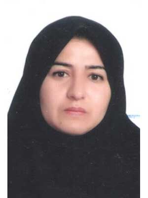 تصویر پروفایل مهری رضایی ارپاتپه - قراردادها و دعاوی عمومی مدنی در اردبیل