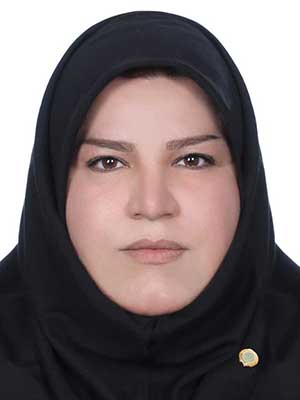 تصویر پروفایل مهرنوش افراسیابی - قراردادها و دعاوی عمومی مدنی در خمینی شهر