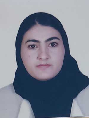 تصویر پروفایل مینا راسق قزلباش - قراردادها و دعاوی عمومی مدنی در ماکو