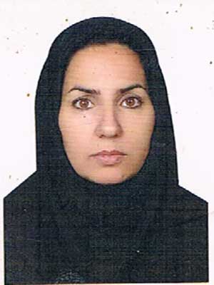 تصویر پروفایل منیر شیخ - قراردادها و دعاوی عمومی مدنی در سرخس