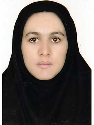 تصویر پروفایل نسرین صیدخانی - قراردادها و دعاوی عمومی مدنی در ایلام