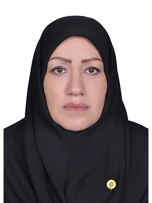 تصویر پروفایل نیره برومند ابراهیمی - قراردادها و دعاوی عمومی مدنی در مشهد