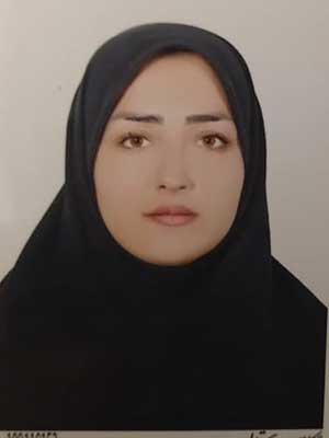 تصویر پروفایل پریسا میری - قراردادها و دعاوی عمومی مدنی در فیروزآباد