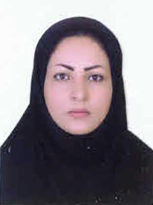 تصویر پروفایل پریسا میرزائی عبدالیوسفی - قراردادها و دعاوی عمومی مدنی در مرودشت