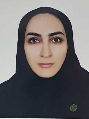 تصویر پروفایل پریسا نوروزی شهیدلو - قراردادها و دعاوی عمومی مدنی در زنجان