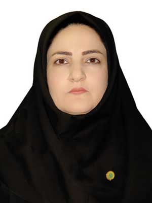 تصویر پروفایل پروین برغی - قراردادها و دعاوی عمومی مدنی در یزد