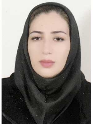 تصویر پروفایل سهام برومندمهر - قراردادها و دعاوی عمومی مدنی در حمیدیه