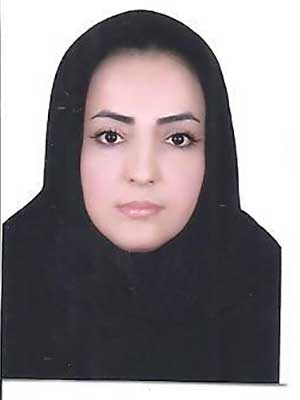 تصویر پروفایل سنور میکائیلی - قراردادها و دعاوی عمومی مدنی در تهران