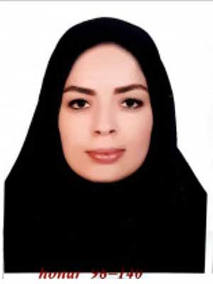 تصویر پروفایل سیده پریسا محسنی ولوکلایی - قراردادها و دعاوی عمومی مدنی در تهران