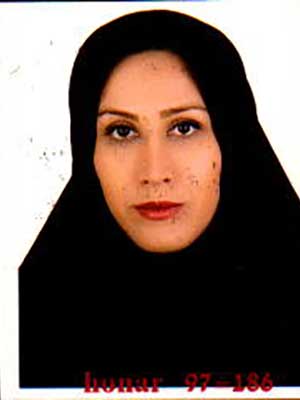 تصویر پروفایل سیده مرضیه حسینی ولوکلایی - قراردادها و دعاوی عمومی مدنی در گتاب