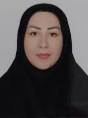 تصویر پروفایل ژاله شیرزاده مزرجی - قراردادها و دعاوی عمومی مدنی در تایباد